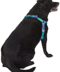 Frisco Green Ombre Style Dog Harness 10 Frisco Green Ombre Style Dog Harness -Frisco Sales 2024 324531 PT3. SY630 V1642518631