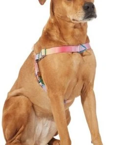 Frisco Pink Ombre Style Dog Harness -Frisco Sales 2024 324536 PT2. SY630 V1642518223