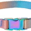 Frisco Purple Ombre Style Dog Collar -Frisco Sales 2024 324541 MAIN. SY630 V1642518445