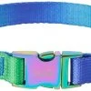 Frisco Green Ombre Style Dog Collar -Frisco Sales 2024 324546 MAIN. SY630 V1642519605