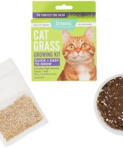 Frisco Natural Cat Grass Growing Kit 9 Frisco Natural Cat Grass Growing Kit -Frisco Sales 2024 325885 PT3. SY630 V1640626922
