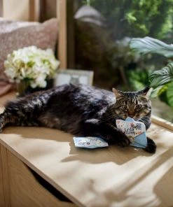 Frisco Mother's Day Card Felt Cat Toy with Catnip, 2 count 9 Frisco Mother's Day Card Felt Cat Toy with Catnip, 2 count -Frisco Sales 2024 327025 PT3. SY630 V1646948030