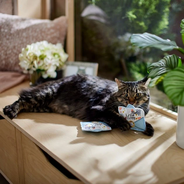 Frisco Mother's Day Card Felt Cat Toy with Catnip, 2 count 6 Frisco Mother's Day Card Felt Cat Toy with Catnip, 2 count - Image 4