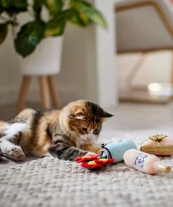 Frisco Mother's Day Gifts Plush Cat Toy with Catnip, 3 count 7 Frisco Mother's Day Gifts Plush Cat Toy with Catnip, 3 count -Frisco Sales 2024 327027 PT3. SY630 V1646948055