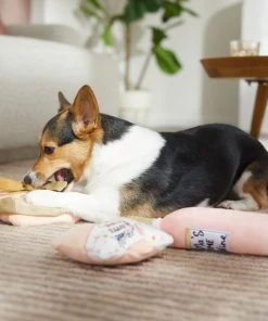 Frisco Mother's Day Gifts Plush Squeaky Dog Toy, 3 count -Frisco Sales 2024 327035 PT3. SY630 V1646947993