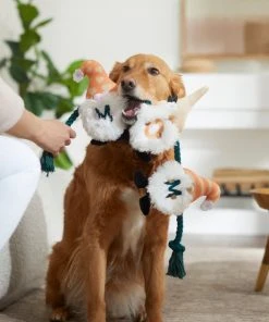 Frisco Mother's Day Gnomes Plush with Rope Squeaky Dog Toy 7 Frisco Mother's Day Gnomes Plush with Rope Squeaky Dog Toy -Frisco Sales 2024 327037 PT3. SY630 V1646948102