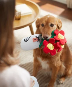 Frisco Mother's Day Mason Jar Flower Blooms Plush Squeaky Dog Toy -Frisco Sales 2024 327039 PT3. SY630 V1646947919