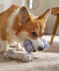 Frisco Mother's Day TPR Bone Squeaky Dog Toy, 2 count -Frisco Sales 2024 327041 PT3. SY630 V1646947973