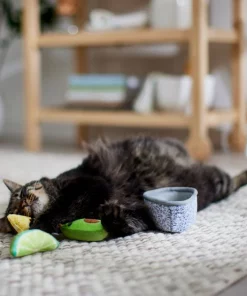 Frisco Guacamole Bowl Cat Toy with Catnip, Medium, 4 count 9 Frisco Guacamole Bowl Cat Toy with Catnip, Medium, 4 count -Frisco Sales 2024 327059 PT3. SY630 V1645205519