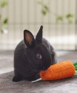 Frisco Small Pet Carrot Loofah Chew Toy -Frisco Sales 2024 330873 PT2. SY630 V1647530171