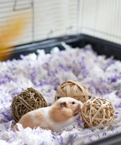 Frisco Trio Balls Small Pet Chew Toys -Frisco Sales 2024 330885 PT2. SY630 V1647530230