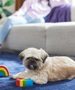 Frisco Pride Rainbow & Heart Latex Squeaky Dog Toy, 2 count 7 Frisco Pride Rainbow & Heart Latex Squeaky Dog Toy, 2 count -Frisco Sales 2024 331632 PT3. SY630 V1647355825