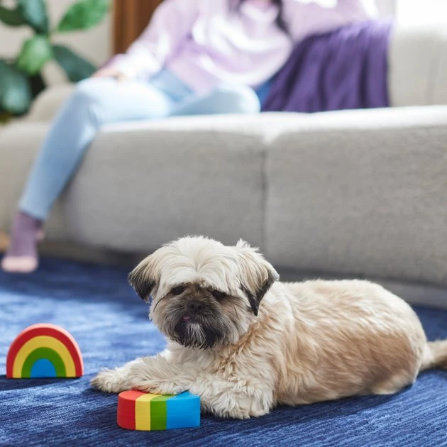 Frisco Pride Rainbow & Heart Latex Squeaky Dog Toy, 2 count 5 Frisco Pride Rainbow & Heart Latex Squeaky Dog Toy, 2 count - Image 3