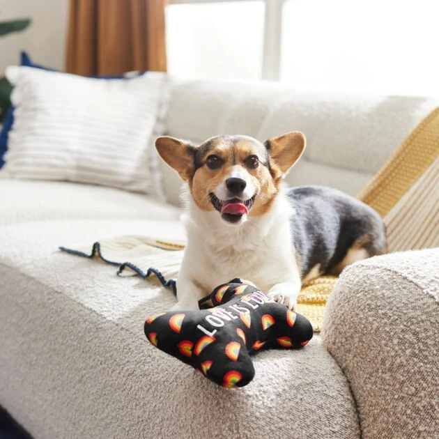 Frisco Pride Proud Pup Bone Plush Squeaky Dog Toy 6 Frisco Pride Proud Pup Bone Plush Squeaky Dog Toy - Image 4