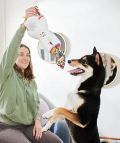 Frisco Pride Love Unicorn Plush with Rope Squeaky Dog Toy 7 Frisco Pride Love Unicorn Plush with Rope Squeaky Dog Toy -Frisco Sales 2024 331642 PT3. SY630 V1647355918