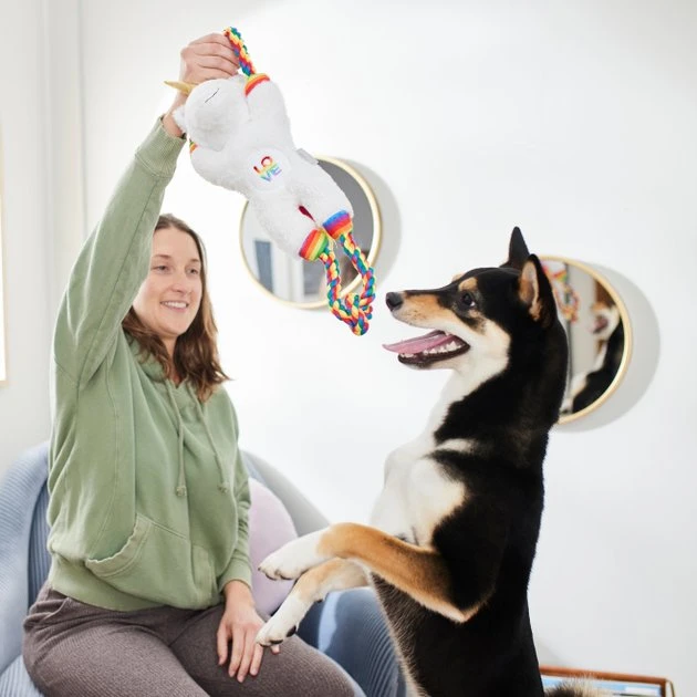 Frisco Pride Love Unicorn Plush with Rope Squeaky Dog Toy 5 Frisco Pride Love Unicorn Plush with Rope Squeaky Dog Toy - Image 3