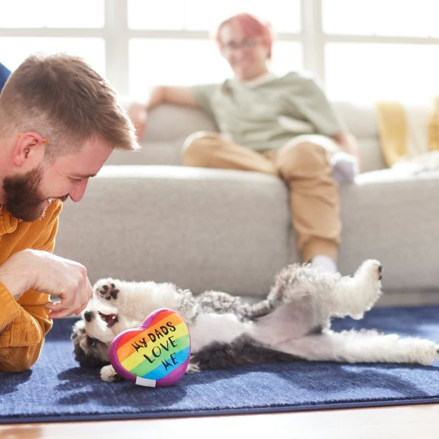 Frisco Pride My Dads Love Me Plush Squeaky Dog Toy Frisco Pride My Dads Love Me Plush Squeaky Dog Toy -Frisco Sales 2024 331648 PT3. SY630 V1647355984