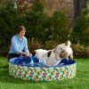 Frisco Outdoor Dog Swimming Pool, Hawaiian Print -Frisco Sales 2024 331651 MAIN. SY630 V1646178552