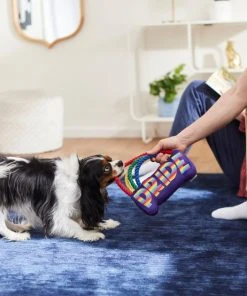 Frisco Pride Rainbow Plush with Rope Squeaky Dog Toy -Frisco Sales 2024 331653 PT3. SY630 V1647356026