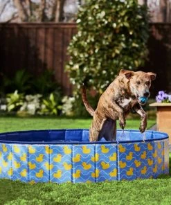Frisco Outdoor Dog Swimming Pool, Rubber Ducky