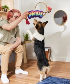 Frisco Pride Plush with Rope Squeaky Dog Toy 7 Frisco Pride Plush with Rope Squeaky Dog Toy -Frisco Sales 2024 331661 PT3. SY630 V1647356002