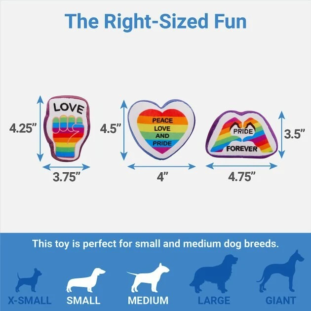 Frisco Pride Rainbow Hide & Seek Puzzle Plush Squeaky Dog Toy 5 Frisco Pride Rainbow Hide & Seek Puzzle Plush Squeaky Dog Toy - Image 3
