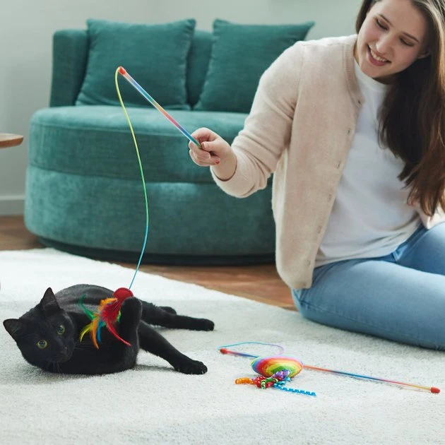 Frisco Pride Teaser Wand Cat Toy with Catnip, 2 count 6 Frisco Pride Teaser Wand Cat Toy with Catnip, 2 count - Image 4