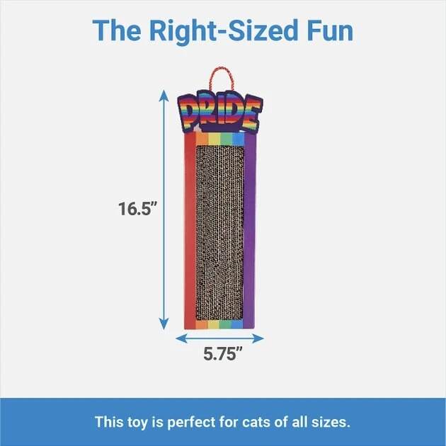 Frisco Pride Rainbow Hanging Cat Scratcher Toy with Catnip 4 Frisco Pride Rainbow Hanging Cat Scratcher Toy with Catnip - Image 2