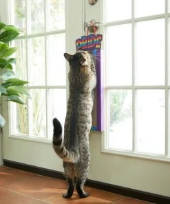 Frisco Pride Rainbow Hanging Cat Scratcher Toy with Catnip 9 Frisco Pride Rainbow Hanging Cat Scratcher Toy with Catnip -Frisco Sales 2024 331686 PT3. SY630 V1647355633