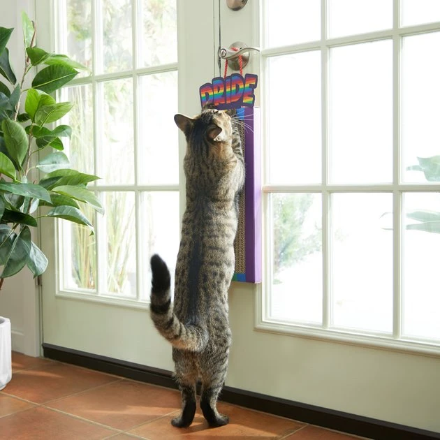 Frisco Pride Rainbow Hanging Cat Scratcher Toy with Catnip 6 Frisco Pride Rainbow Hanging Cat Scratcher Toy with Catnip - Image 4