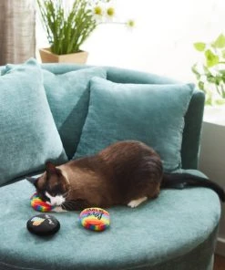 Frisco Pride Buttons Plush Cat Toy with Catnip, 3 count 7 Frisco Pride Buttons Plush Cat Toy with Catnip, 3 count -Frisco Sales 2024 331688 PT3. SY630 V1647355746