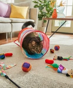 Frisco Pride Plush, Teaser, Ball, Tunnel Variety Pack Cat Toy with Catnip, 10 count 11 Frisco Pride Plush, Teaser, Ball, Tunnel Variety Pack Cat Toy with Catnip, 10 count -Frisco Sales 2024 331696 PT4. SY630 V1649086673