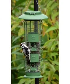 Frisco Squirrel Defense Wild Bird Feeder -Frisco Sales 2024 333277 PT3. SY630 V1646664988