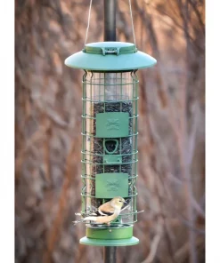 Frisco Squirrel Defense Wild Bird Feeder -Frisco Sales 2024 333277 PT4. SY630 V1646664996