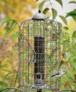 Frisco Ultra Squirrel Defense Wild Bird Feeder -Frisco Sales 2024 333281 PT3. SY630 V1646665002