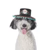 Frisco Day of the Dead Dog & Cat Hat -Frisco Sales 2024 334496 MAIN. SY630 V1658368909