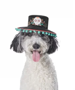 Frisco Day of the Dead Dog & Cat Hat