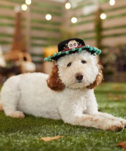 Frisco Day of the Dead Dog & Cat Hat 11 Frisco Day of the Dead Dog & Cat Hat -Frisco Sales 2024 334496 PT6. SY630 V1657719482