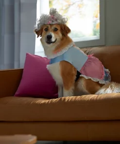 Frisco 18th Century Dog & Cat Dress Costume -Frisco Sales 2024 334767 PT7. SY630 V1657656879