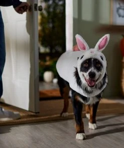 Frisco Bunny Dog & Cat Costume -Frisco Sales 2024 334834 PT7. SY630 V1657718231