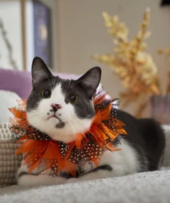 Frisco Cat Collar Ruffle Costume Accessory, One Size 10 Frisco Cat Collar Ruffle Costume Accessory, One Size -Frisco Sales 2024 334842 PT7. SY630 V1657656879