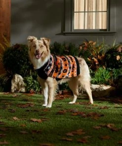 Frisco Fair Isle Pumpkin Dog & Cat Sweater -Frisco Sales 2024 334922 PT7. SY630 V1659984178