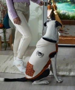 Frisco Happy Spider Dog & Cat Hoodie 14 Frisco Happy Spider Dog & Cat Hoodie -Frisco Sales 2024 334957 PT7. SY630 V1657721208