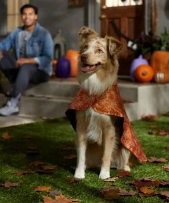 Frisco Spider Webbed Dog & Cat Costume Cape -Frisco Sales 2024 334972 PT6. SY630 V1657729812