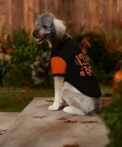 Frisco Little Beast Dog & Cat T-Shirt -Frisco Sales 2024 335021 PT7. SY630 V1657720507