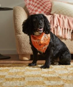 Frisco Orange Spiderweb Dog & Cat Costume Bandana -Frisco Sales 2024 335045 PT6. SY630 V1657731485