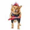 Frisco Punk Rocker Dog & Cat Costume 2 Frisco Punk Rocker Dog & Cat Costume -Frisco Sales 2024 335082 MAIN. SY630 V1658345611
