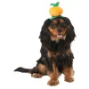 Frisco Pumpkin Headband Dog & Cat Costume Accessory 2 Frisco Pumpkin Headband Dog & Cat Costume Accessory -Frisco Sales 2024 335090 MAIN. SY630 V1658349060