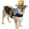 Frisco Royal Pharoah Dog & Cat Costume -Frisco Sales 2024 335113 MAIN. SY630 V1659027521
