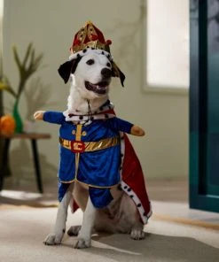 Frisco Front Walking Royal King Dog & Cat Costume 16 Frisco Front Walking Royal King Dog & Cat Costume -Frisco Sales 2024 335122 PT7. SY630 V1657718739